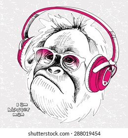 Image portrait monkey with glasses and pink headphones . Vector illustration.