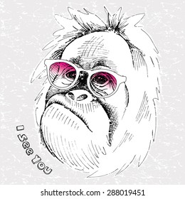 Image portrait monkey with pink glasses. Vector illustration.