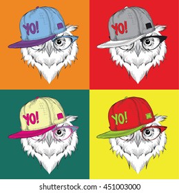 Image Portrait of owl in a baseball cap with glasses. Pop art style vector illustration.