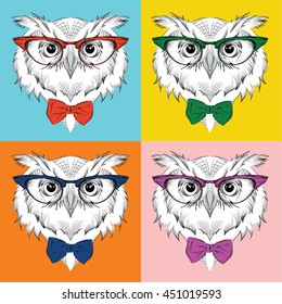 Image Portrait of owl in the cravat and with glasses. Pop art style vector illustration.