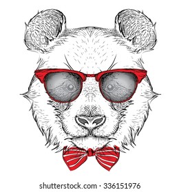 Image Portrait panda in the cravat and with glasses. Hand draw vector illustration.