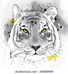 Image of portrait a tiger. Vector illustration.