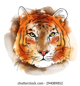 Image of portrait a tiger. Vector illustration.