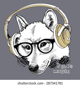 Image of portrait of a wolf with headphones and in the glasses. Vector illustration.