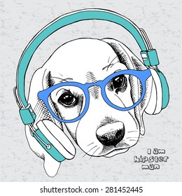 Image Puppy beagle portrait with blue headphones and glasses on a gray background. Vector illustration.