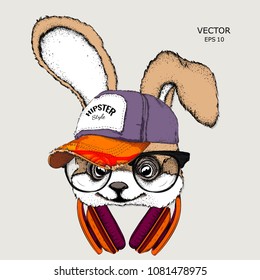The image of rabbit in the glasses, headphones and in hip-hop hat. Vector illustration.