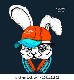 The image of rabbit in the glasses, headphones and in hip-hop hat. Vector illustration.