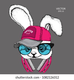 The image of rabbit in the glasses, headphones and in hip-hop hat. Vector illustration.