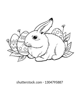 a image of a rabbit with long ears