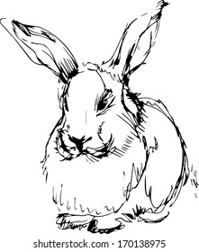 a image of a rabbit with long ears