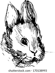 a image of a rabbit with long ears