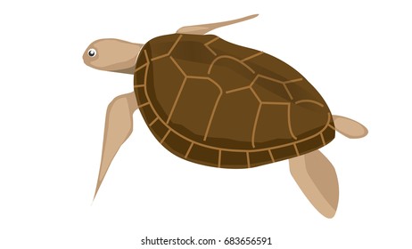 15,204 Flat turtle Images, Stock Photos & Vectors | Shutterstock