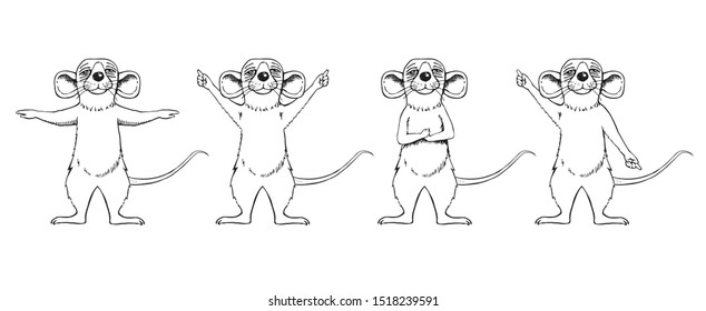 Image of a rat cartoon sketch. Set. Beauty on its hind legs.