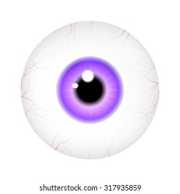 Image of realistic human eye ball with colorful pupil, iris. Vector illustration isolated on white background.