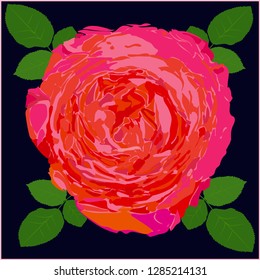 An image of a red rose on a dark background with green leaves. Bud blooming roses with leaves. Botanical illustration of a flower.