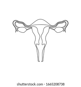 Image of the reproductive system of women. Line image of the inside of the uterus. Schematic icon
