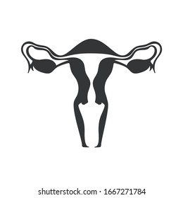 Image of the reproductive system of women. Line image of the inside of the uterus. Schematic icon.