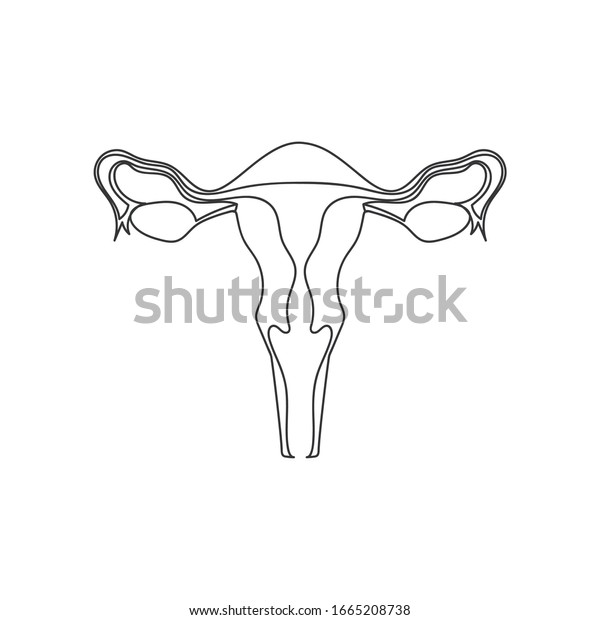 Image of the reproductive\
system of women. Line image of the inside of the uterus. Schematic\
icon