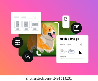 Image Resizing Tool Interface. Resizer instrument.  Different image resolutions. Vector illustration