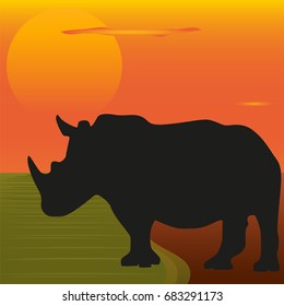 The image of a rhino on the background of the sunset by the river. Silhouette of the rhino.