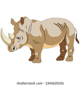 image of rhino, wild animal, isolate on white background