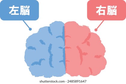 Image of right brain and left brain, handwritten style (right brain, left brain)