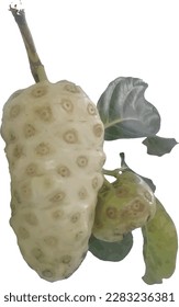 imagen de fruto de ritmo maduro aislado en fondo blanco