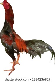 image of rooster isolated on white