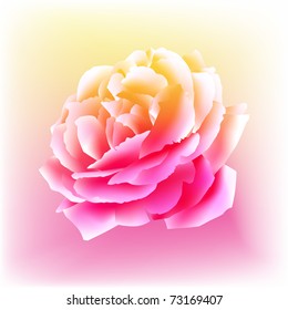 An image of a rose bloom in a watercolor paint style.