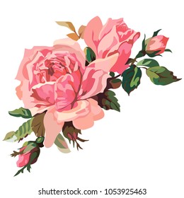 Image of a rose in color. Vector