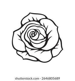 Image of a rose flower, the background of the image is kept white.