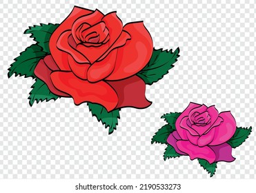 Image of a rose in two colors. Freehand drawing