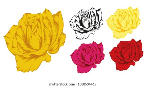 The image of a rose, which is very well suited for embroidery, tattooing, or other purposes.