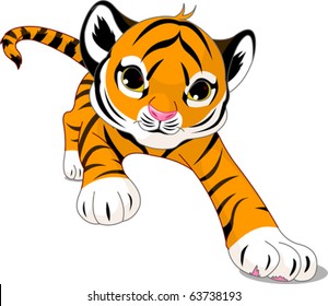 Image of running cute baby tiger