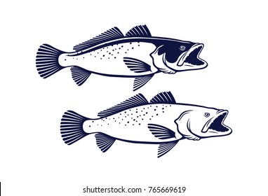 Image Sea Trout