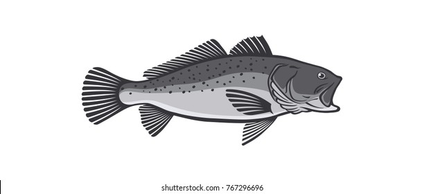  Image Sea Trout