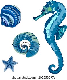 Image of a seahorse, seashells, starfish, vector