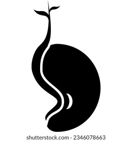 image of a seed growing into a plant