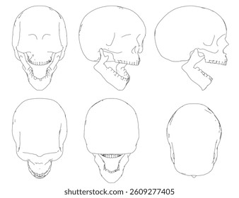 The image is a series of six drawings of a skull, each one slightly different from the other. The drawings are all in black and white, and they all have a similar shape and size
