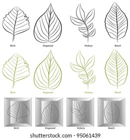 An image of a set of birch, dogwood, hickory and birch tree leaf types. svg