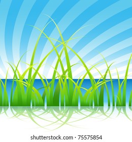 An image of a set of blades of grass on blue water sky background.