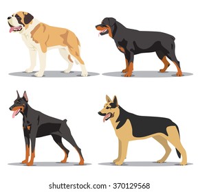 Image set of dogs: Alsatian dog, St. Bernard, Rottweiler, Doberman. Vector illustration