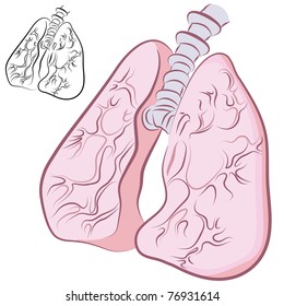 An image of a set of human lungs.