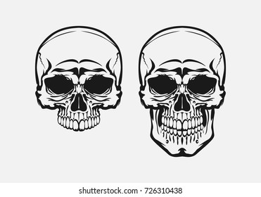 The image of the Set Human skull. Outline Style. Isolated Object. Vector illustration.