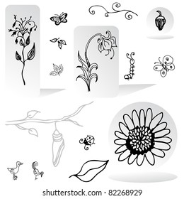 An image of a set of nature design elements.
