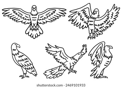 The image is a set of six drawings of birds in flight. The birds are all different sizes and are positioned at various angles, with some standing and others flying. The drawings are all in black
