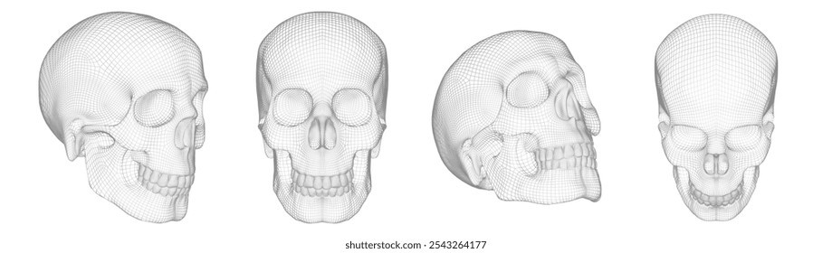 The image is a set of skulls, made in the form of a grid frame on a white background. This is a digital 3D model demonstrating the modeling technique. Vector illustration.