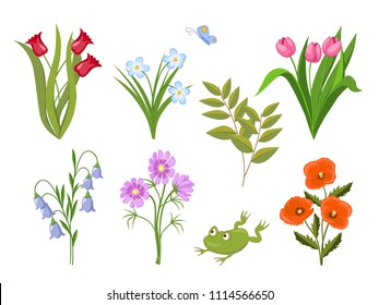 Image with set of summer meadow flowers and frog. Isolated floral bouquets  for t-shirt, tunic or decorate dishes, stationery and mural, wall art. eps 10. 