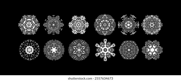The image is a set of twelve different snowflakes, all in vector format. Each snowflake has a unique pattern, showcasing the intricate and symmetrical details that are typical of snowflakes.