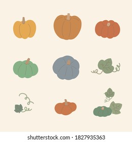 An image of several old pumpkins and vines. This is a flat image illustration great for use in autumn.
